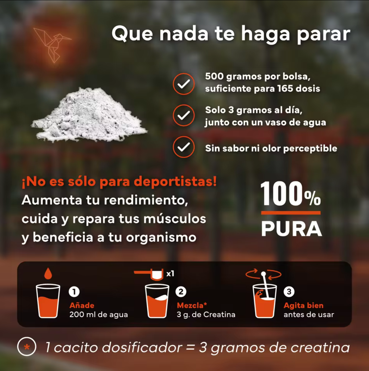 2x1 Creatina Monohidratada en Polvo, Multivitamínico, Omega 3 y Magnesio