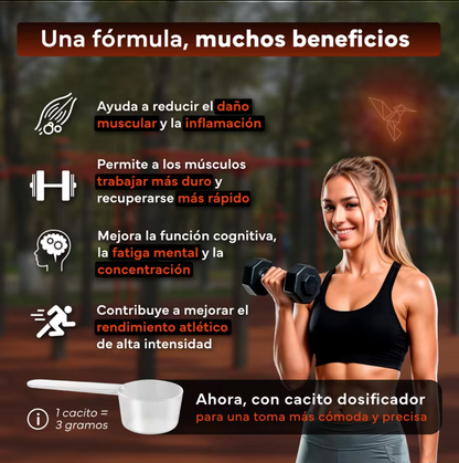 2x1 Creatina Monohidratada en Polvo, Multivitamínico, Omega 3 y Magnesio