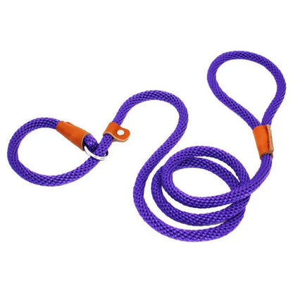 Heavy Duty Slip Lead Dog Leash