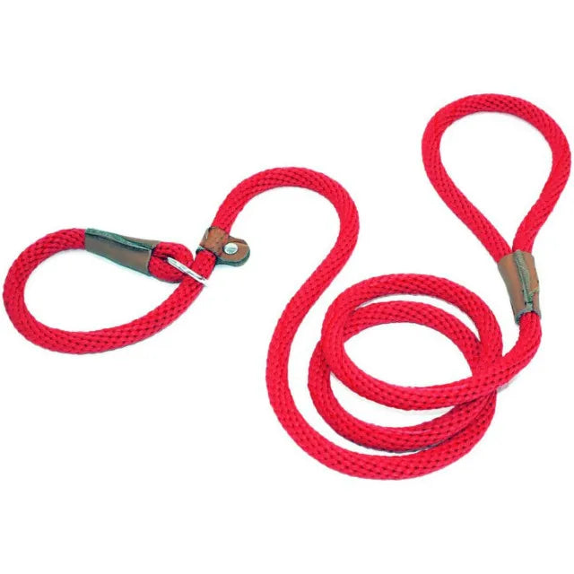 Heavy Duty Slip Lead Dog Leash