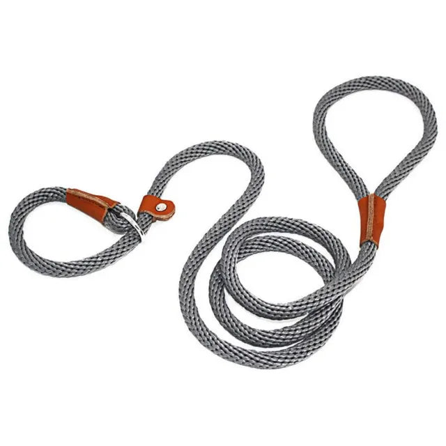 Heavy Duty Slip Lead Dog Leash