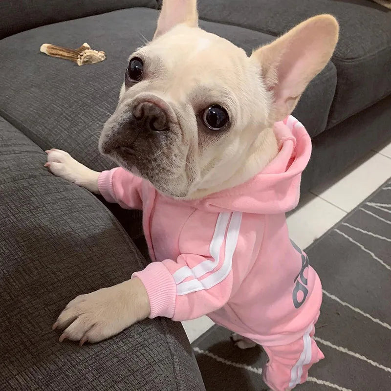 Sudadera con Capucha para Mascotas