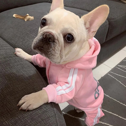 Sudadera con Capucha para Mascotas