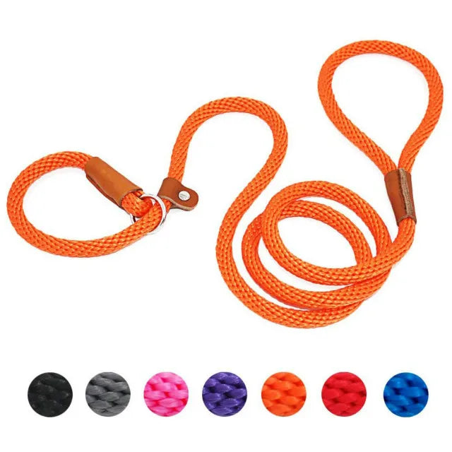 Heavy Duty Slip Lead Dog Leash