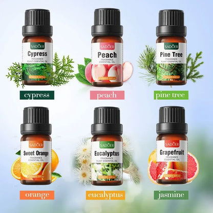 5 pcs Organic Aromatherapy Essential Oils