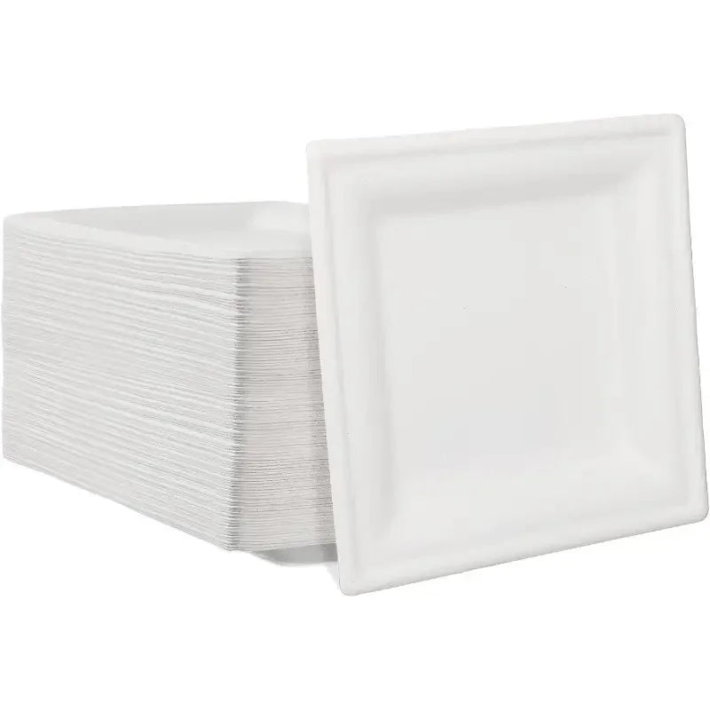 Disposable Square Plates Household Kitchen Restaurant Fruit Salad Dessert Appetizer Birthday Party Christmas Picnics Tableware