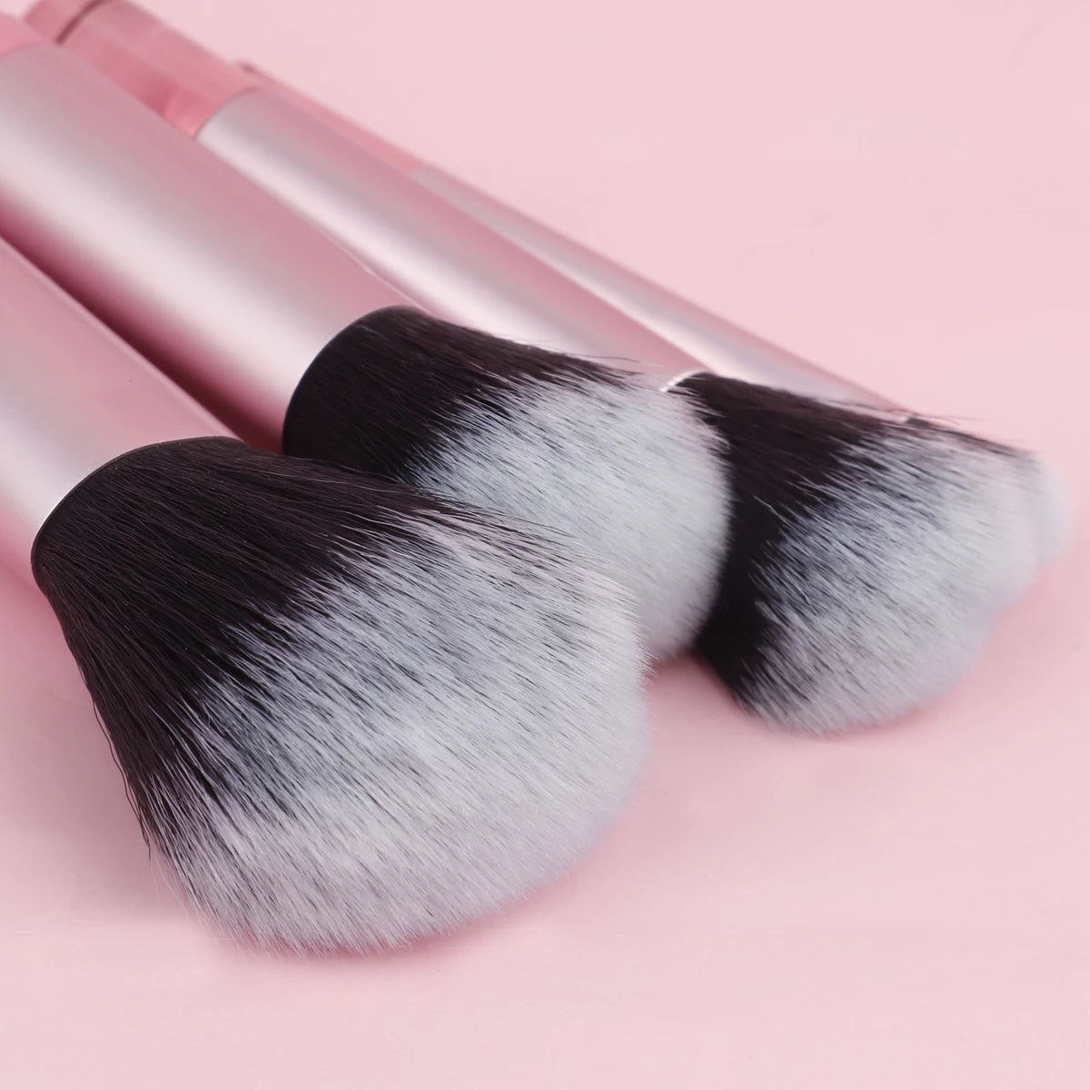 10Pcs Mini Makeup Brush Set Powder ñ