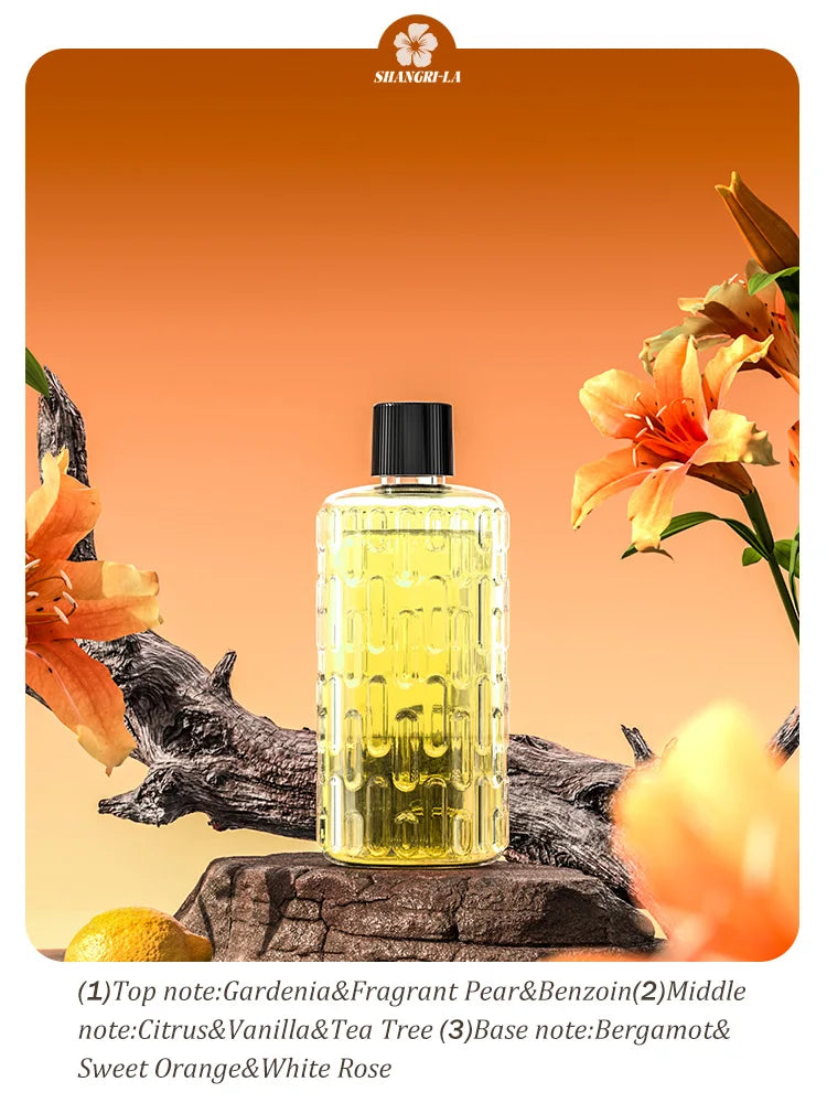 Automatic aromatherapy diffuser