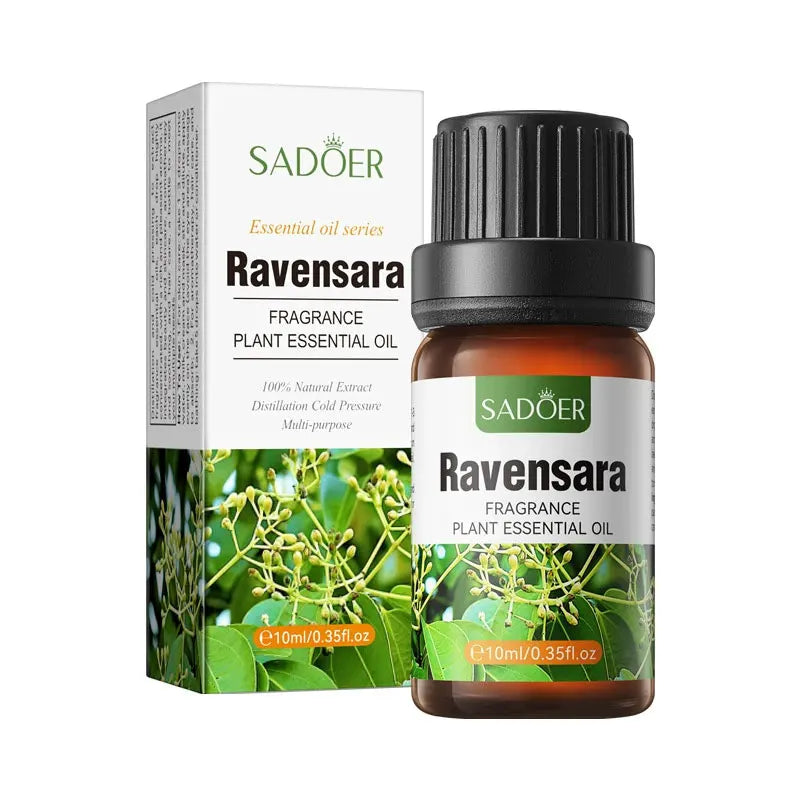 5 pcs Organic Aromatherapy Essential Oils