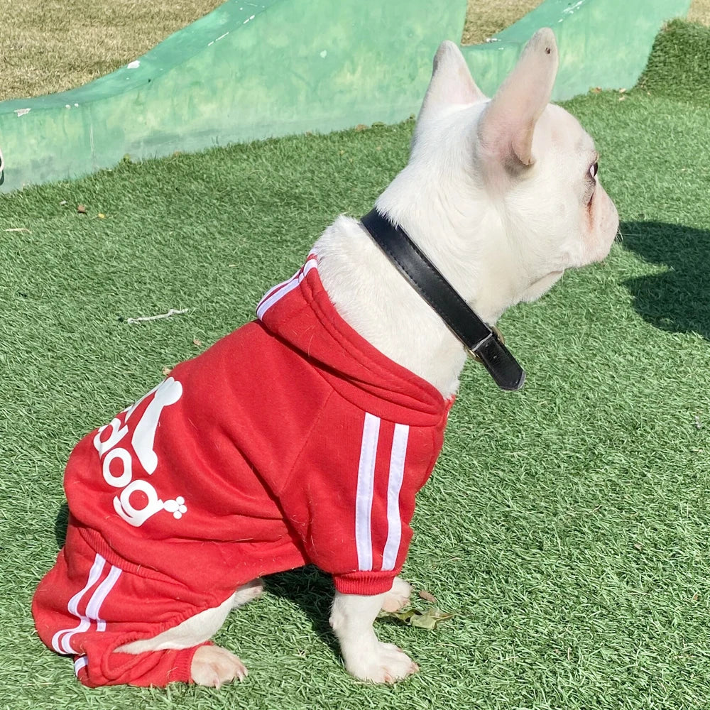 Sudadera con Capucha para Mascotas