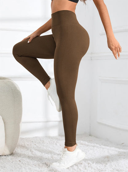 High Waisted Seamless Ioga Leggings