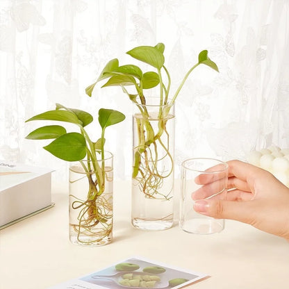 Light Luxury Vase Ins Style Cylinder Vase Transparent Flower Vase Living Room Decoration Vase Household Hydroponic Plants Cup