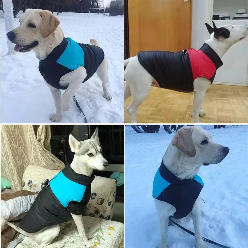 Padded Winter Warm Dog Clothes