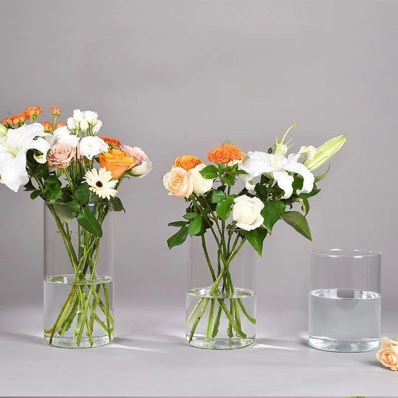 Light Luxury Vase Ins Style Cylinder Vase Transparent Flower Vase Living Room Decoration Vase Household Hydroponic Plants Cup