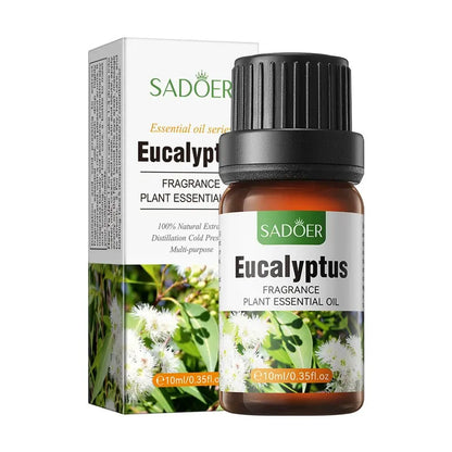 5 pcs Organic Aromatherapy Essential Oils